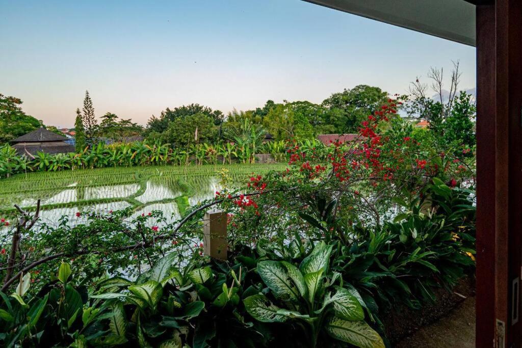 Villa Mimpi Nyata Canggu Eksteriør billede